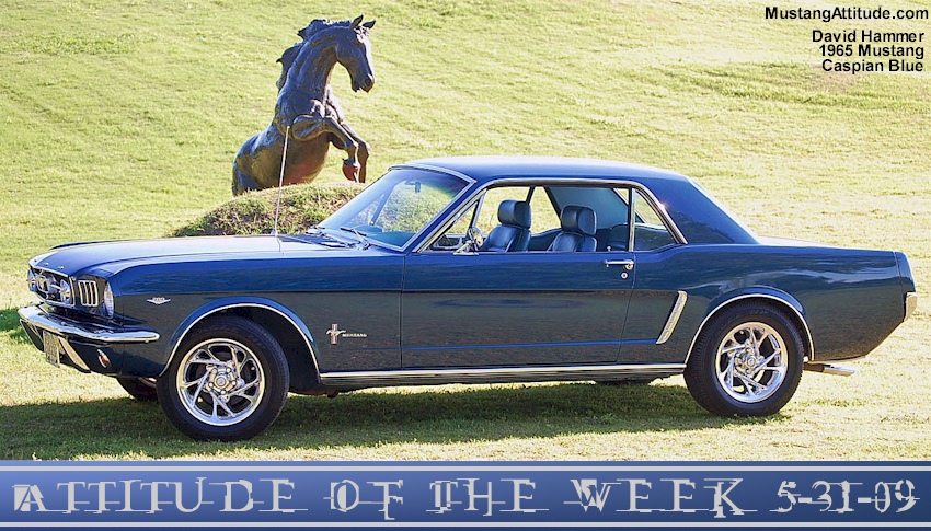 Caspian Blue 65 Mustang