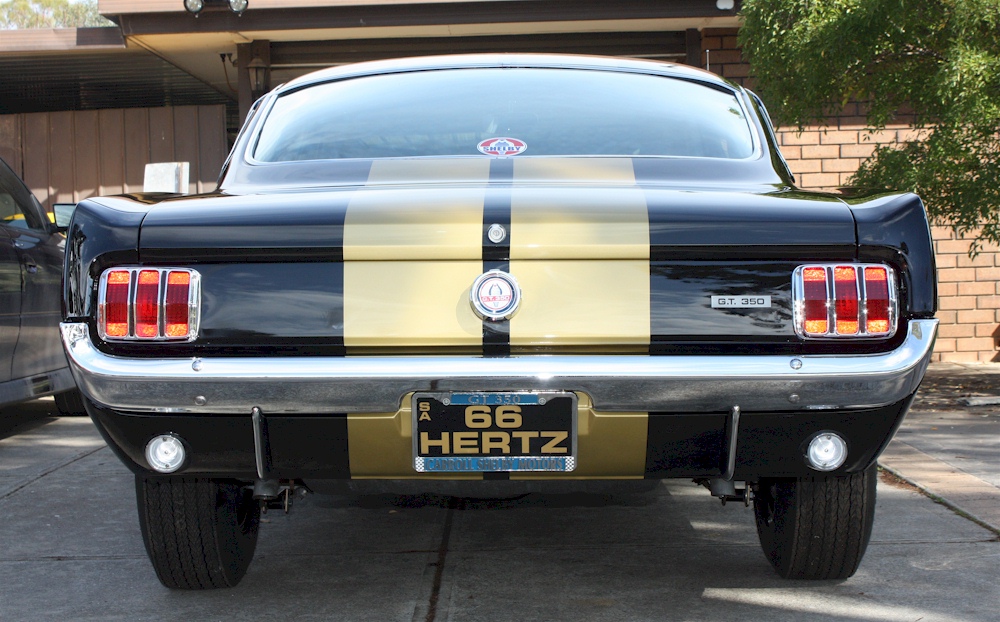 Raven Black 1966 Shelby GT-350H Tribute