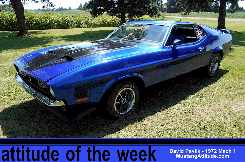 Blue 1972 Mach 1 Mustang