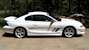 Crystal White 1998 Mustang Saleen S-281 Coupe