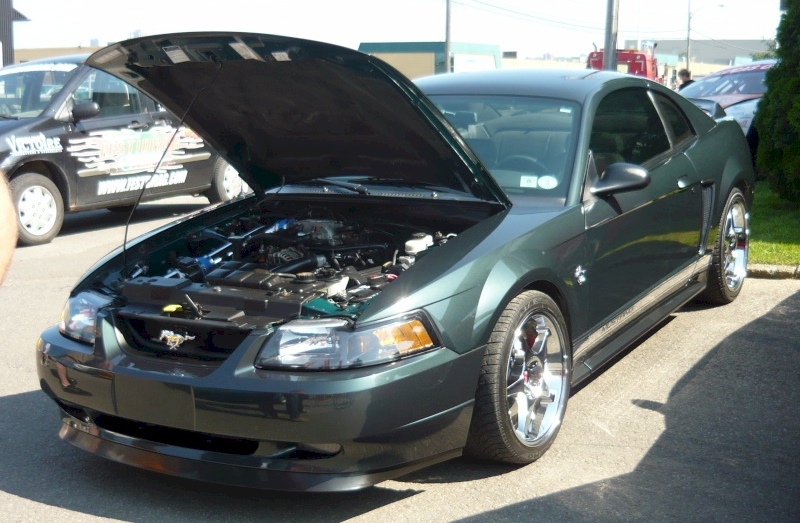 Dark Satin Green 99 Mustang GT