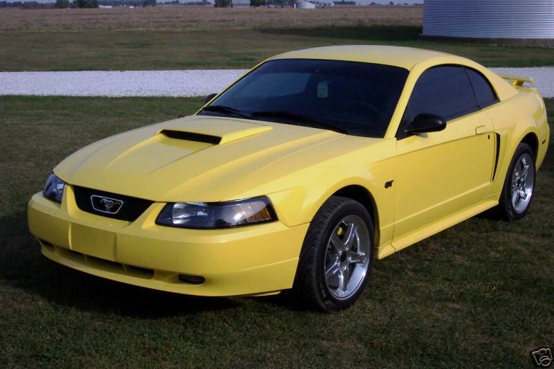 Zinc Yellow 2001 Ford Mustang GT Coupe Photo Detail
