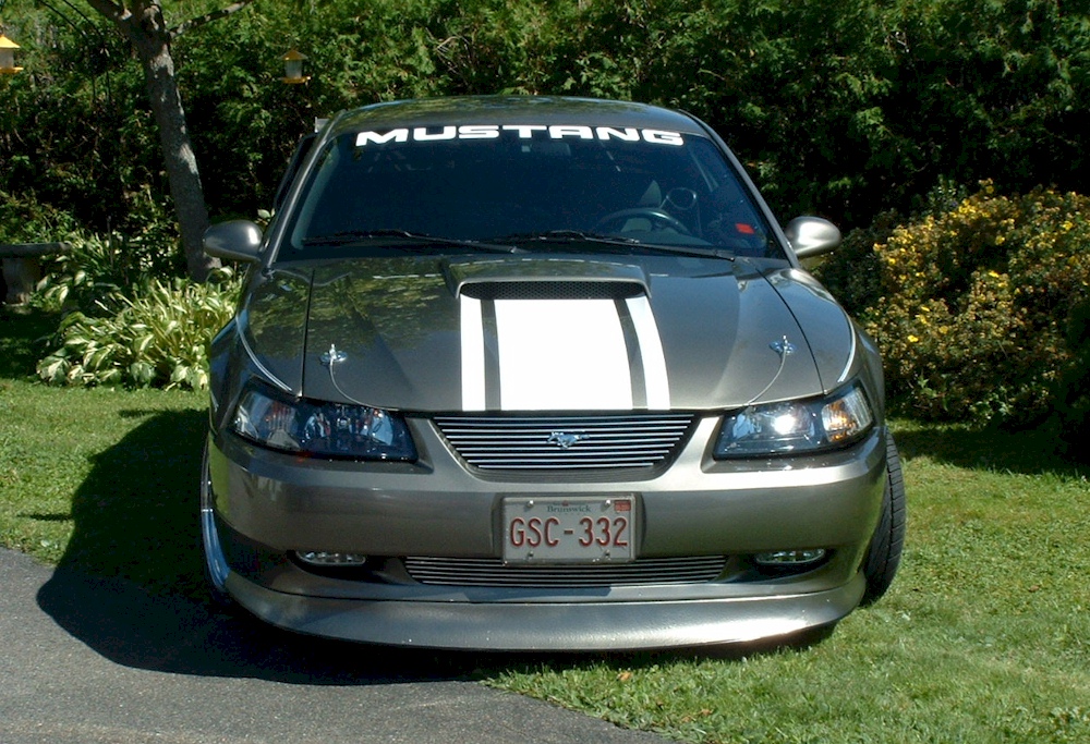 Mineral Gray 2002 Ford Mustang GT Coupe MustangAttitude Photo Detail
