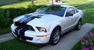 Performance White 2007 Shelby GT500