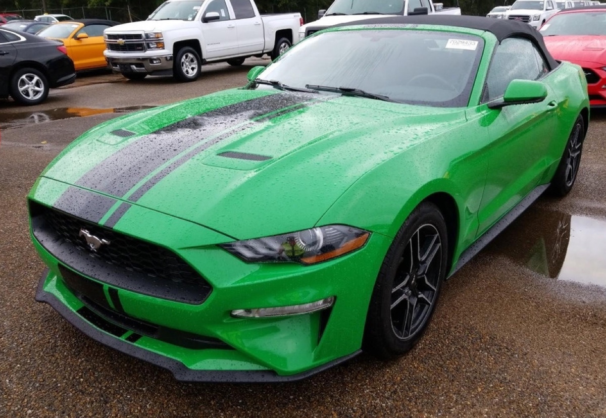 Need for Green 2019 EcoBoost Mustang convertible