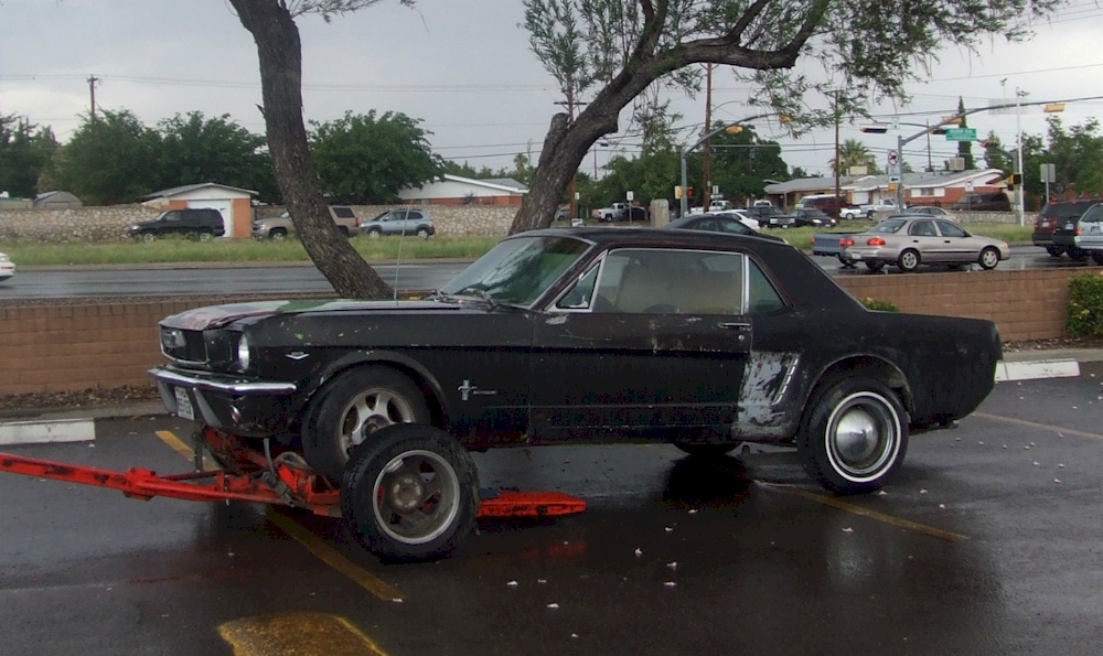 1964 Mustang with Potential