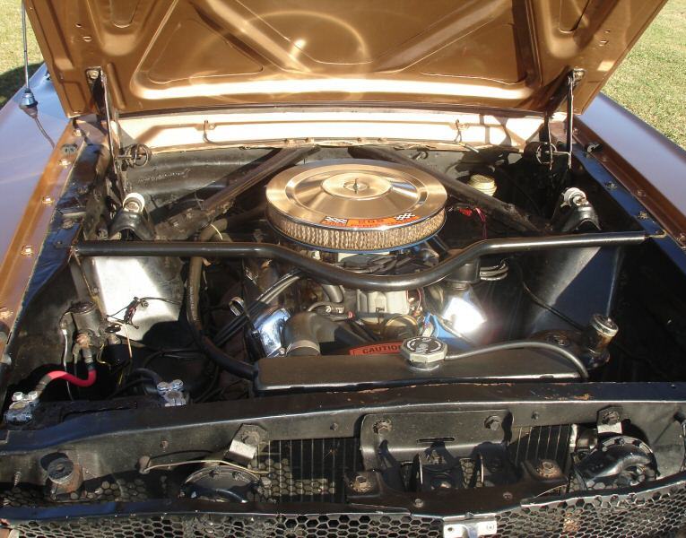 Modified 1965 Mustang 289ci V8 Engine
