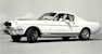 White 65 Mustang Shelby GT-350