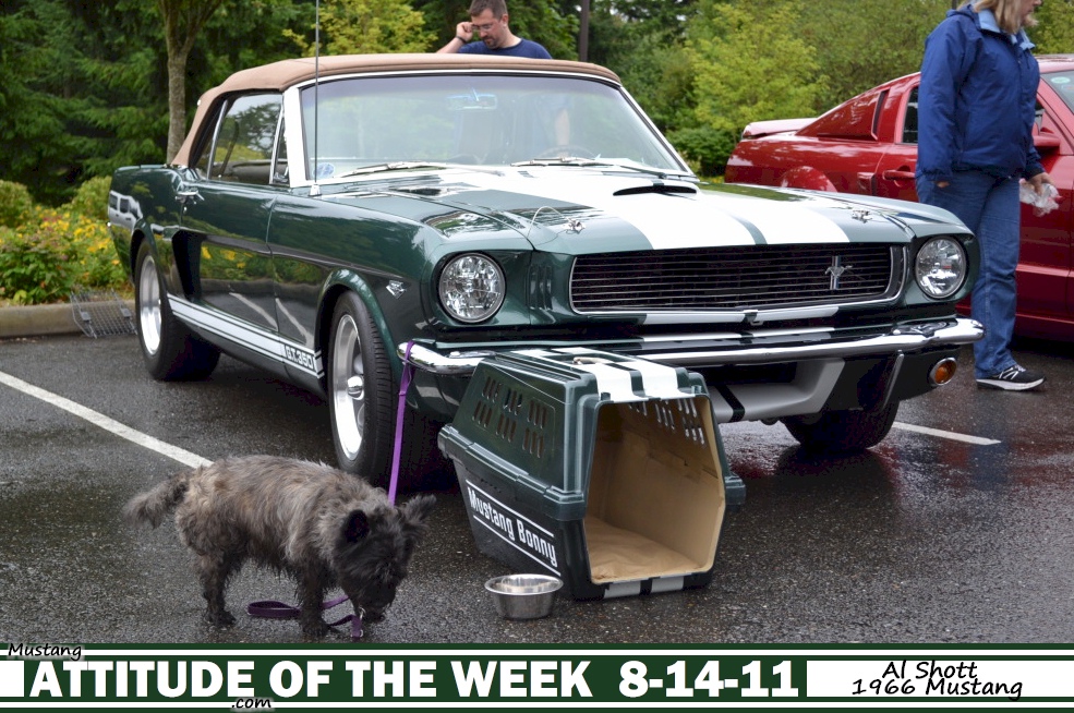 Ivy Green 1966 Mustang Convertible