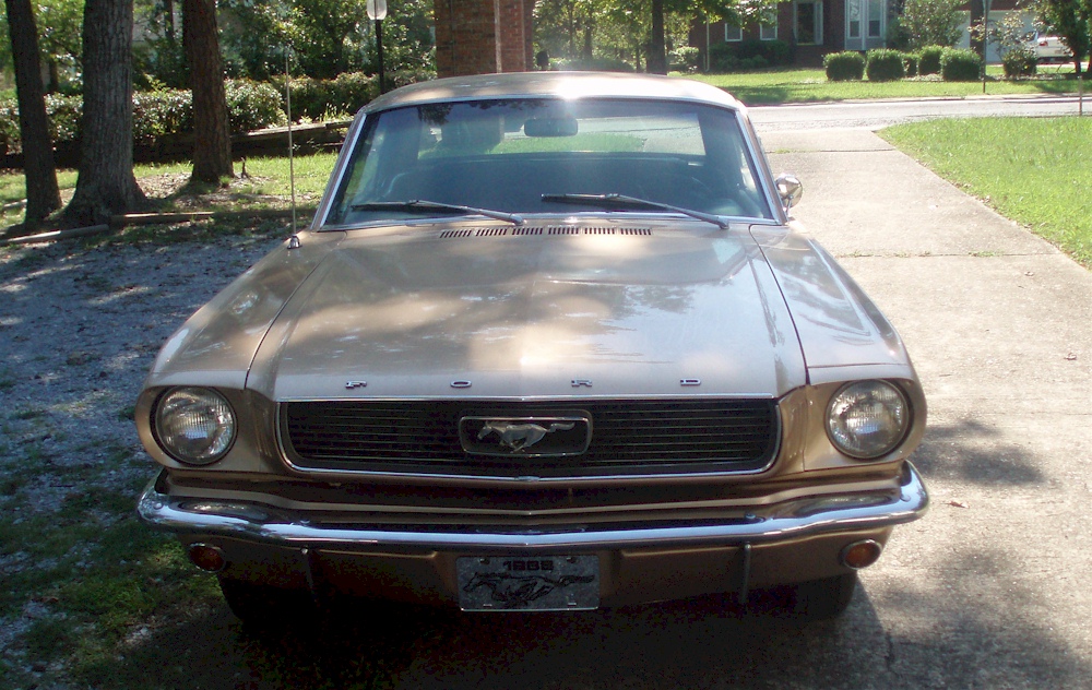 Gold 1966 Mustang Hardtop