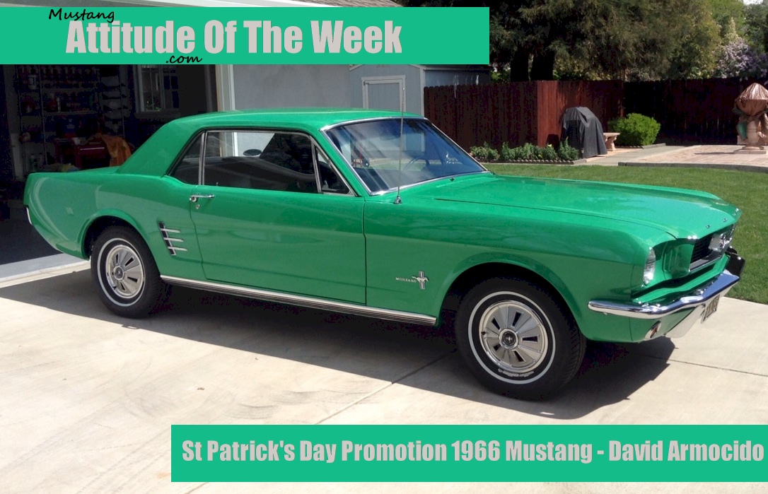 Special Green 1966 Mustang Hardtop