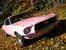 Dusk Rose 1967 200 Sprint Mustang Hardtop