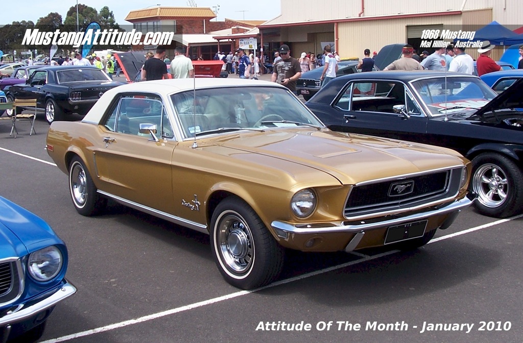 Spanish Gold 1968 Rainbow of Colors Promotional Mustang Hardtop