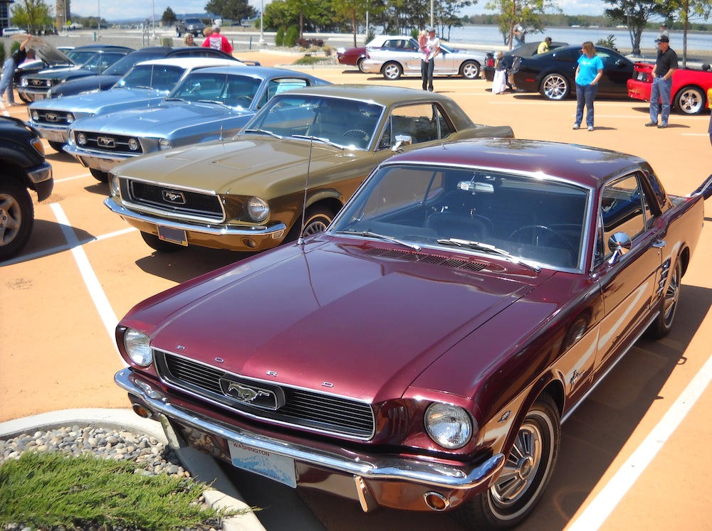 Car Show