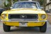 Corporate Yellow 1968 Mustang Gold Nugget Special Hardtop