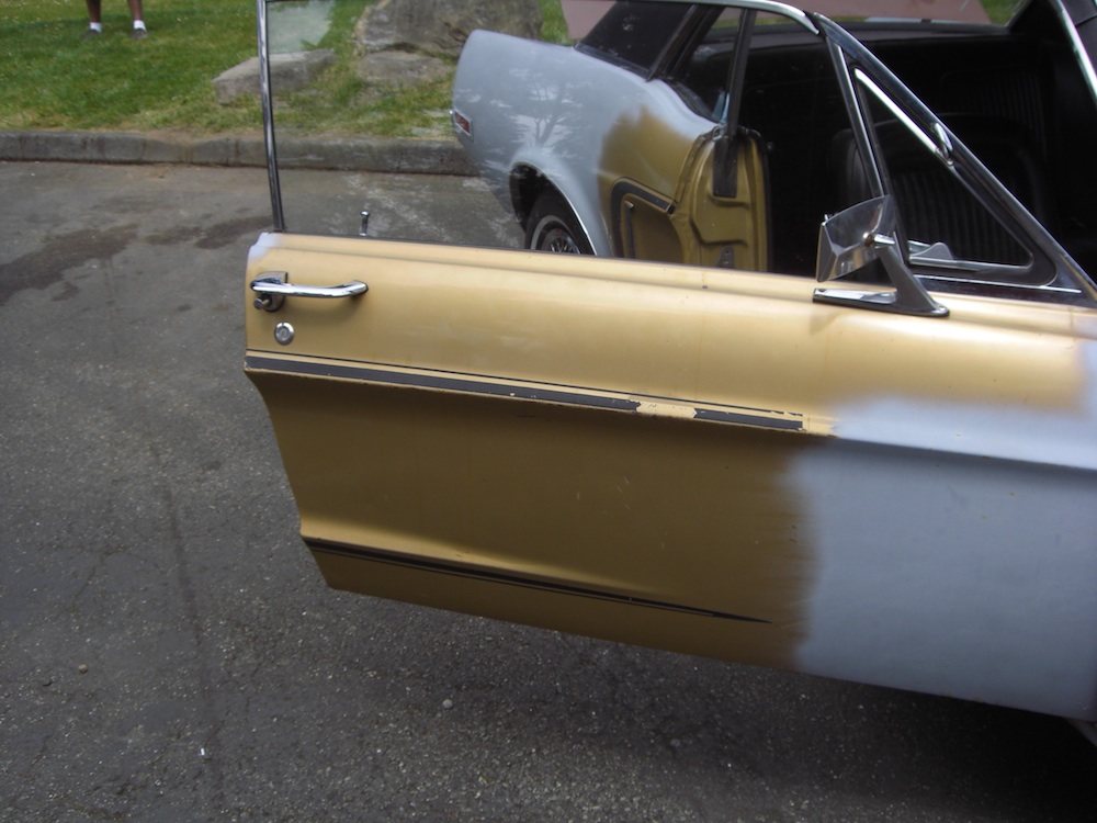 Sunlit gold and Black side stripe