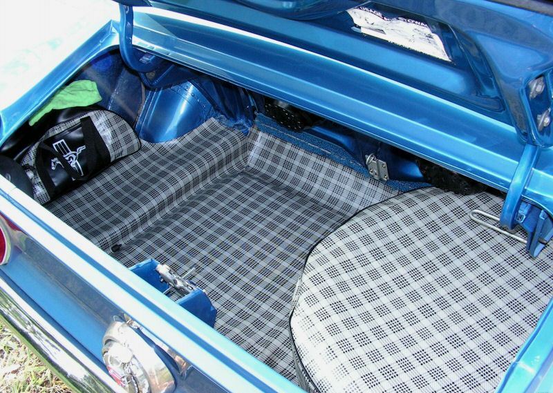 Trunk and gas cap