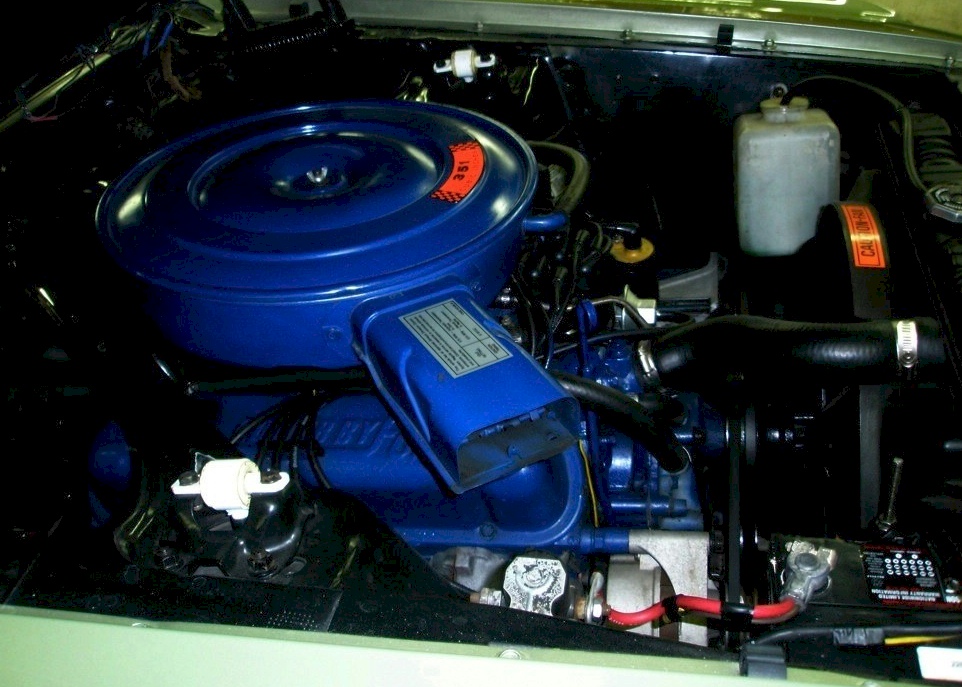 1969 Mustang Engine