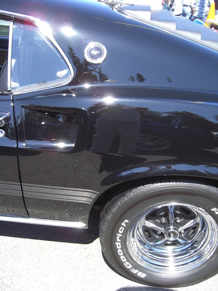 Rear quarter window medallion