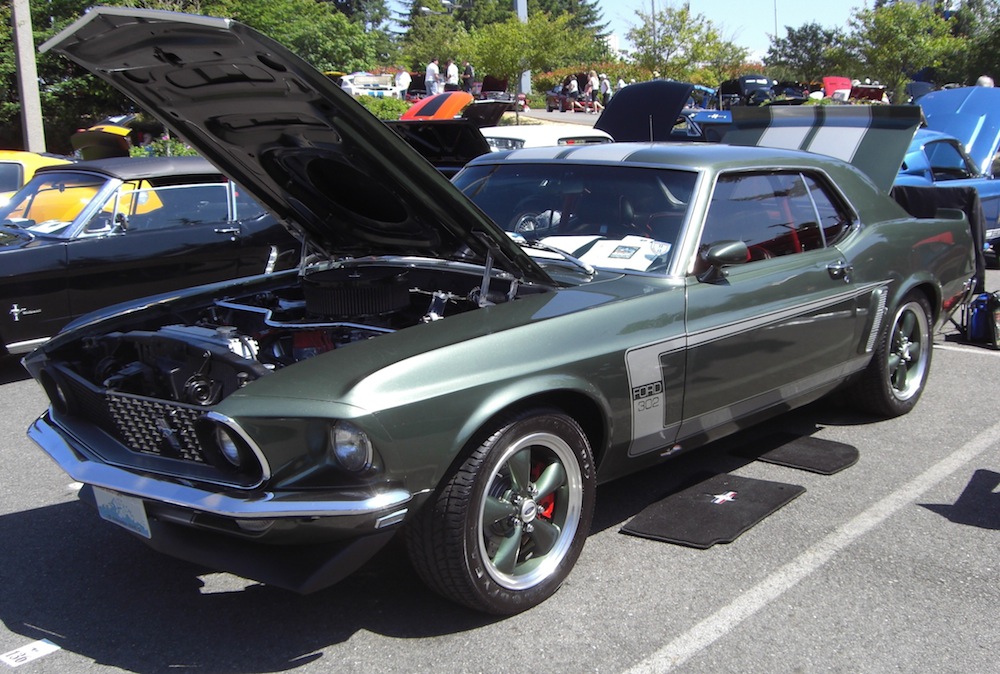 Custom 1969 Mustang hardtop