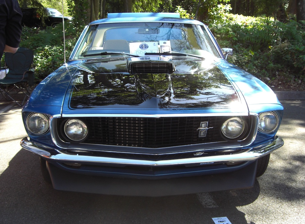 Acapulco Blue 69 Mustang hardtop