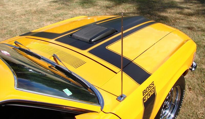 Hood Close-up 1970 Mustang Boss 302 Fastback