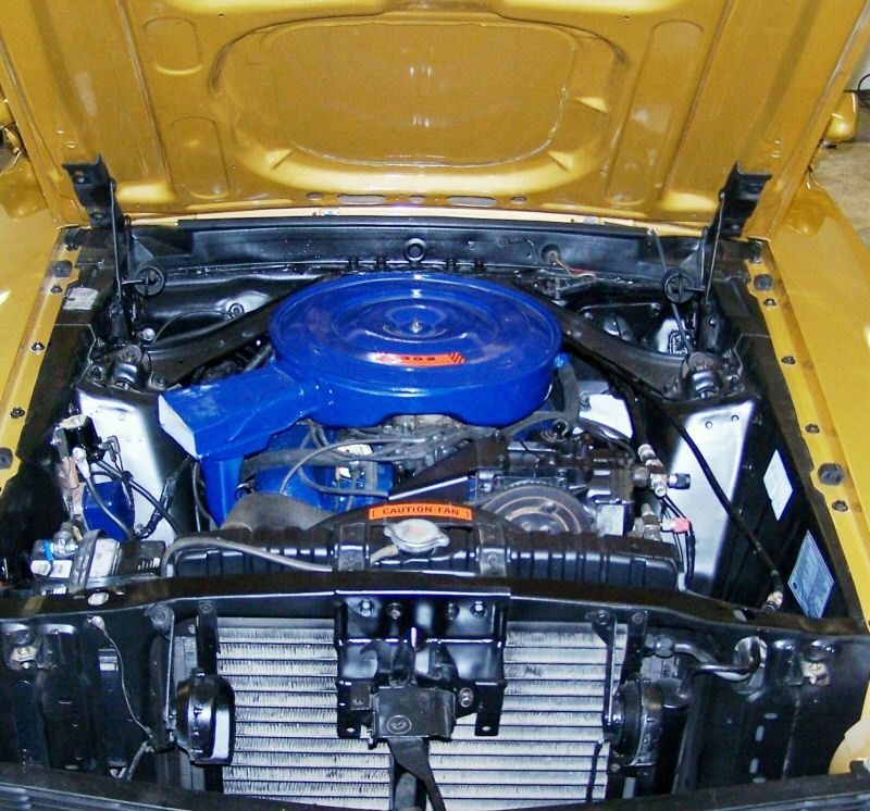 1970 Mustang F-code 302ci V8 Engine.