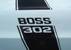 1970 Boss Side Stripe Close-up