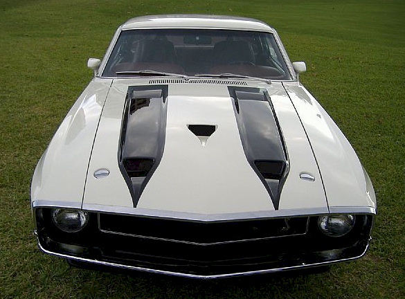 Pastel Gray 70 Shelby GT350