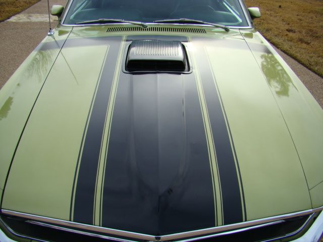 Boss 302 Hood