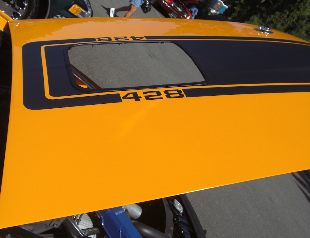 428 hood graphics