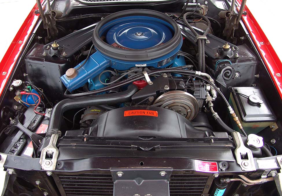 Early 1971 Mustang M-code 351ci V8 engine.
