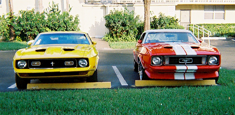 72 and  72 Mustangs