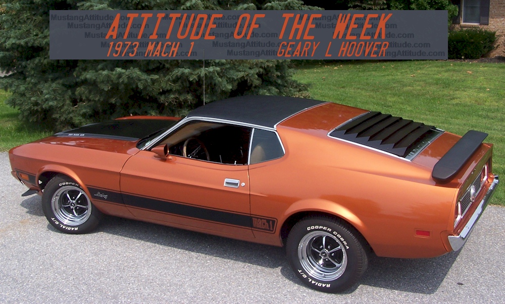 Saddle Bronze 1973 Mach 1