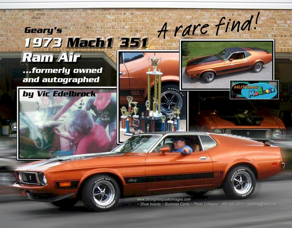 Saddle Bronze 1973 Mach 1