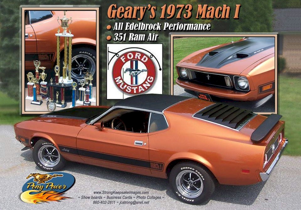 Saddle Bronze 1973 Mach 1