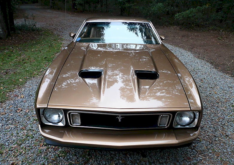 Medium Brown 73 Mustang Mach-1