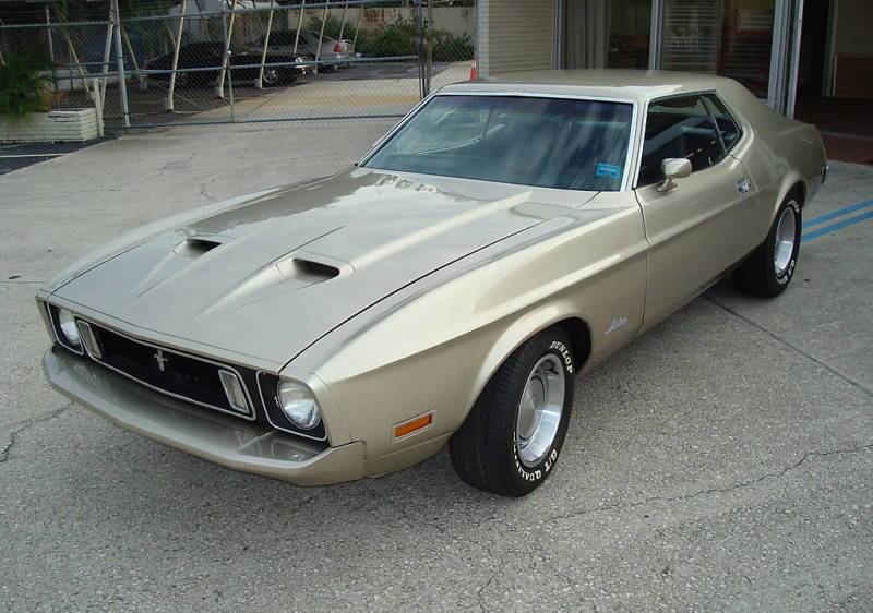 Light Pewter 1973 Mustang Hardtop
