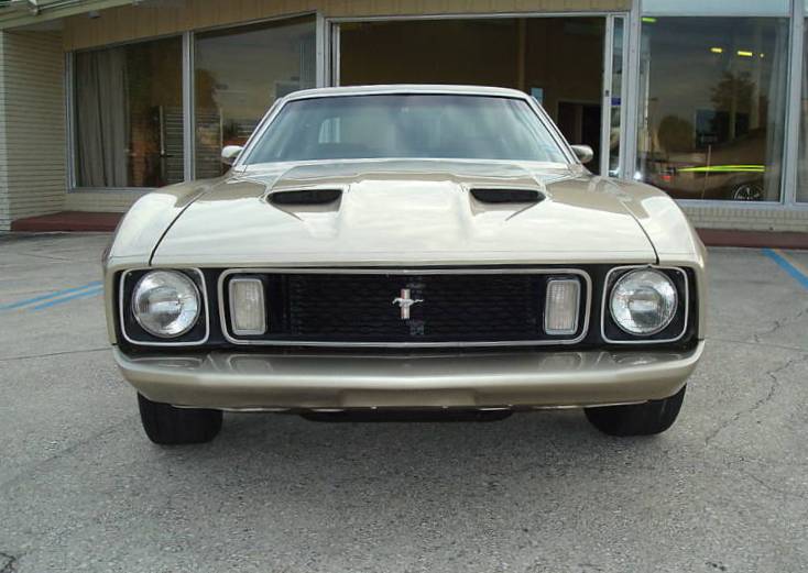 Light Pewter 1973 Mustang Hardtop