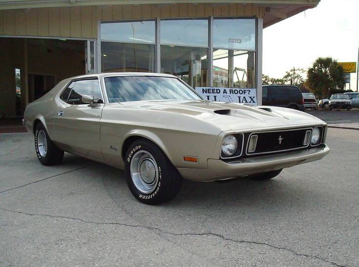 Light Pewter 73 Mustang Hardtop