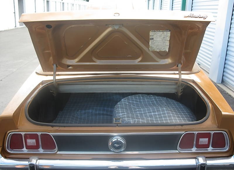 Trunk View