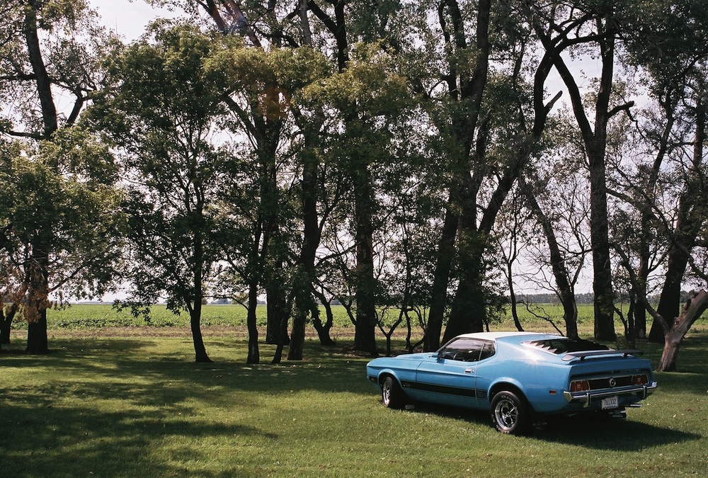 Medium Aqua Blue 73 Mustang Mach 1