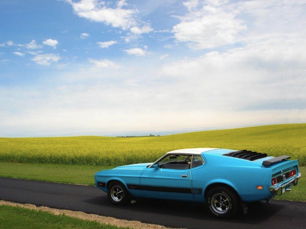 Medium Aqua Blue 73 Mustang Mach 1