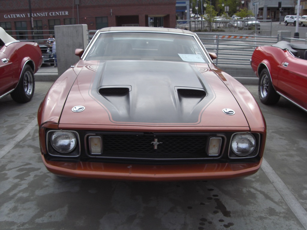 Medium Copper 73 Mustang Fastback