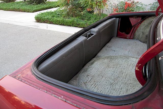 trunk