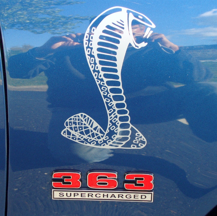 Cobra Emblem