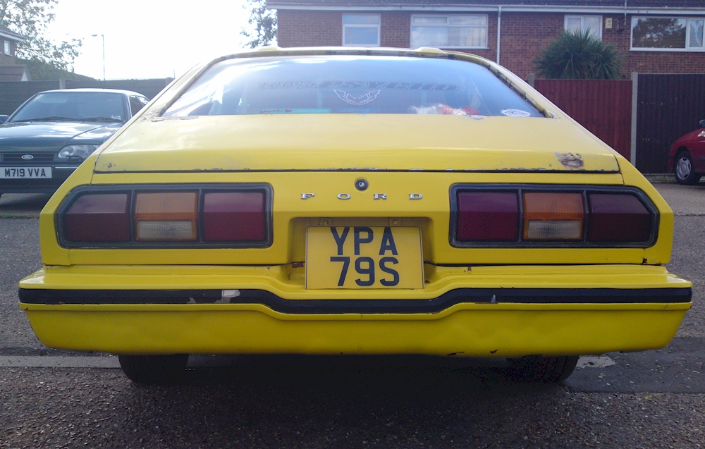 Bright Yellow 76 Stallion