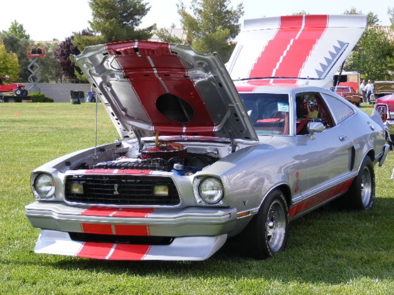 Silver 1977 Custom Mustang Cobra Clone