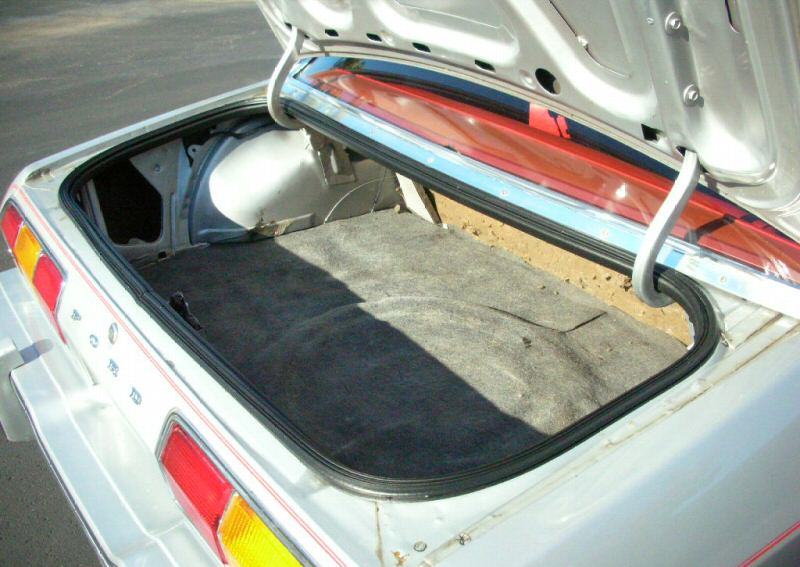 huge trunk