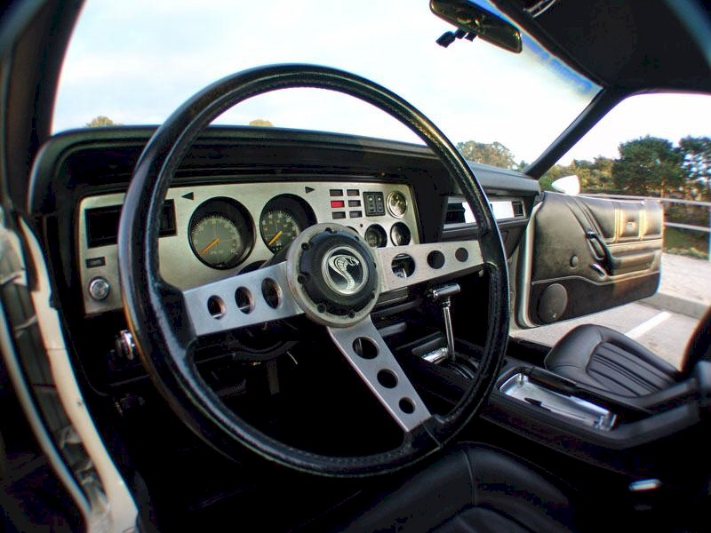 Custom Dash close-up